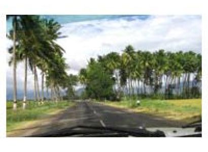 Munnar - Thekkady - Alappuzha Houseboat - Kovalam - Kanyakumari Tour 