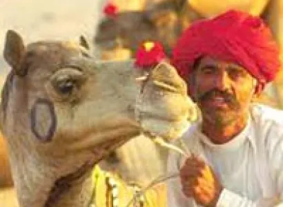 Jaipur - Udaipur - Jodhpur Tour