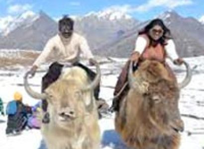 Delhi & Manali Tour