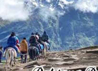 Packages in Chandigarh