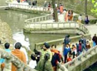 Packages in Chandigarh