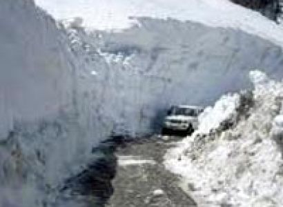 Packages in Chandigarh