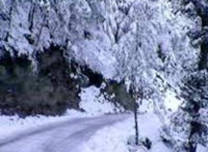 luxurious Himachal With Manali Tour