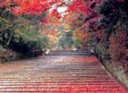 Best Of Uttarakhand Tour