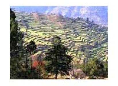 Kumaon Magic Tour