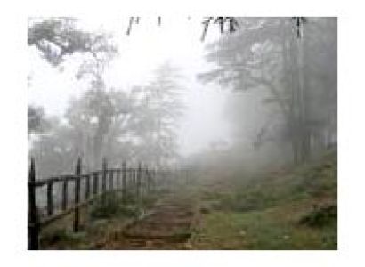 Dhanaulti