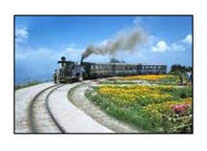 Best Darjeeling Tour Package