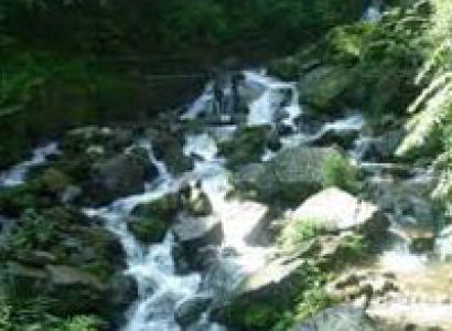 Best Nainital Tour Package