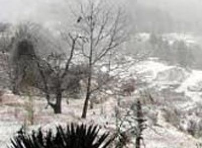 Best Almora Tour Package