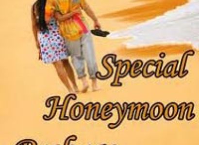 Honeymoon Dharamsala Shimla tour Package