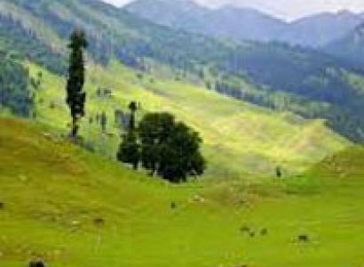 Honeymoon Sonamarg Tour Package