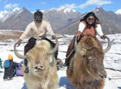 Delhi Manali Tour Package