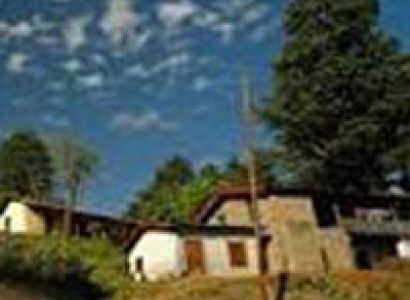 Corbett & Ranikhet Tour