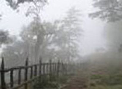 Mussoorie & Dhanaulti Tour