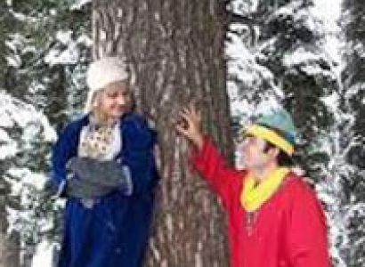 Srinagar Gulmarg Tour Package