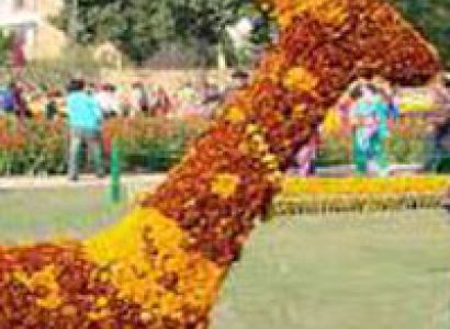 Packages in Chandigarh