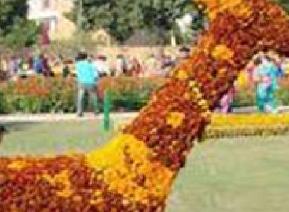 Packages in Chandigarh