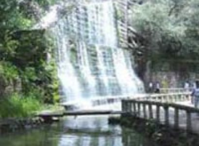 Packages in Chandigarh