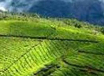 Kerala Tour:- Vagamon - Thekkady - Kumarakom - Alleppey Tour