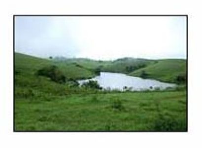 Kerala Tour:- Vagamon - Thekkady - Kumarakom - Alleppey Tour