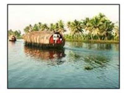 Kerala Tour:- Vagamon - Thekkady - Kumarakom - Alleppey Tour
