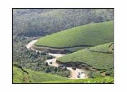 Kerala : Cochin - Thekkady - Gavi Tour