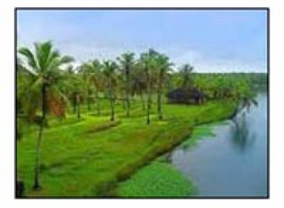 Kerala Nature Tours 