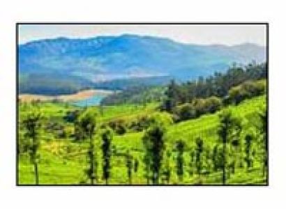 Queen Of Hills Karnataka Package