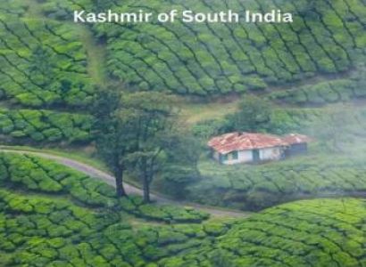 Packages in Thekkady