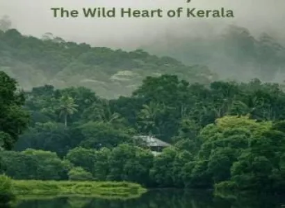 Packages in Thekkady
