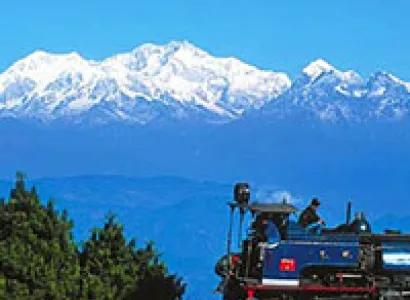 The Valley Of Flowers Tour