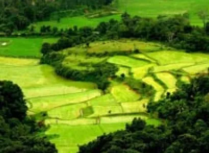 Karnataka & Tamil Nadu Tour Package