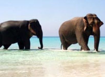 Exotic Andaman Group Vacation Tour
