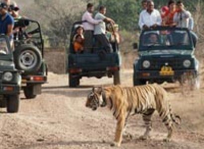 Royal Rajasthan with Delhi Agra Tour