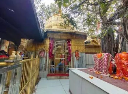 8 Days Himachal - Char Deviya Tour Package