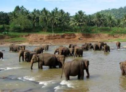 Sri Lanka – Jolly Tour - 5 Days