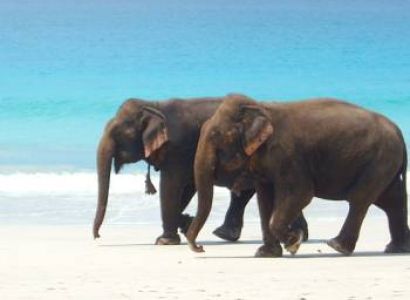 ANDAMAN ISLANDS TOUR PACKAGE FROM CHENNAI - 5 DAYS