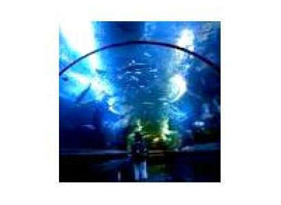 Singapore Malaysia Tour Package From Trichy / Tamilnadu