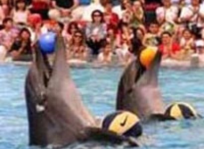 Singapore Malaysia Tour Package From Trichy / Tamilnadu