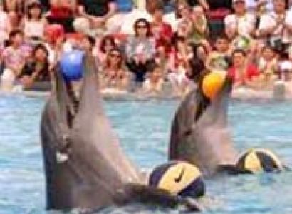 Singapore Malaysia Tour Package From Trichy