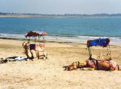 Packages in Somnath