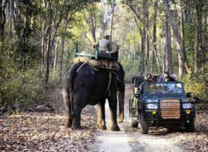 4 Night 5 Days Jabalpur - Kanha - Bargi Dam Tour