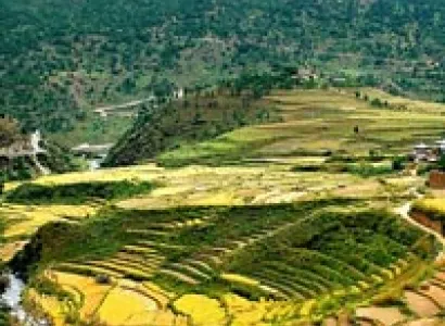 Discover Bhutan Tour