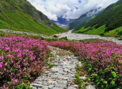 Valley Of Flowers Trek Tour