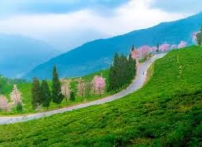 Packages in Uttarkashi