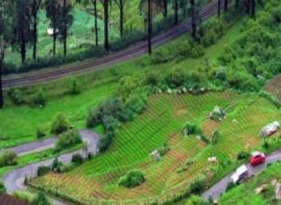 1 Night 2 Days Coimbatore to Ooty