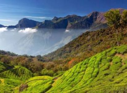 2 Night 3 Days- Munnar Tour Package