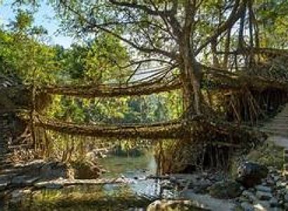 5 Night 6 Days - Meghalaya Tour