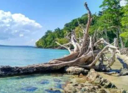 South Andaman Tour Packages