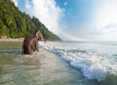 4 NIGHT 5 DAYS - ANDAMAN TOUR